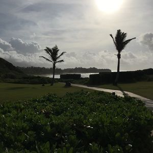 Meet your Posher, Curtis